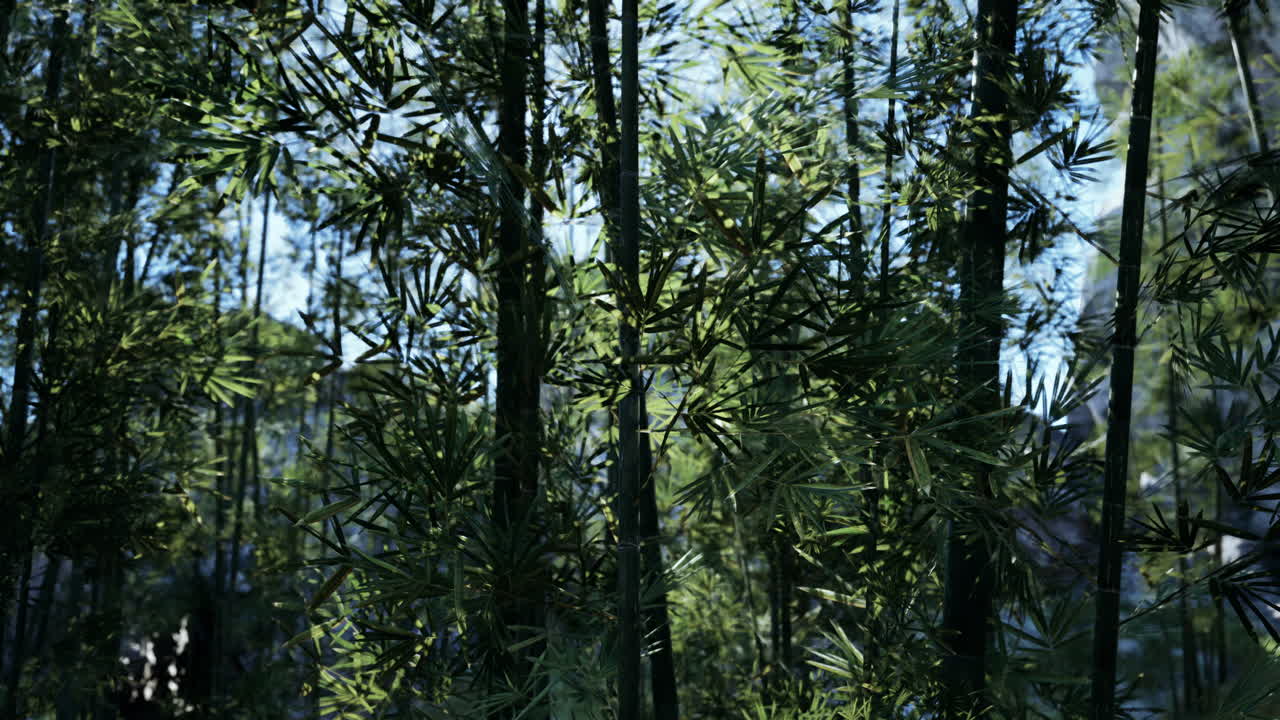 대나무 숲 의 근접 사진