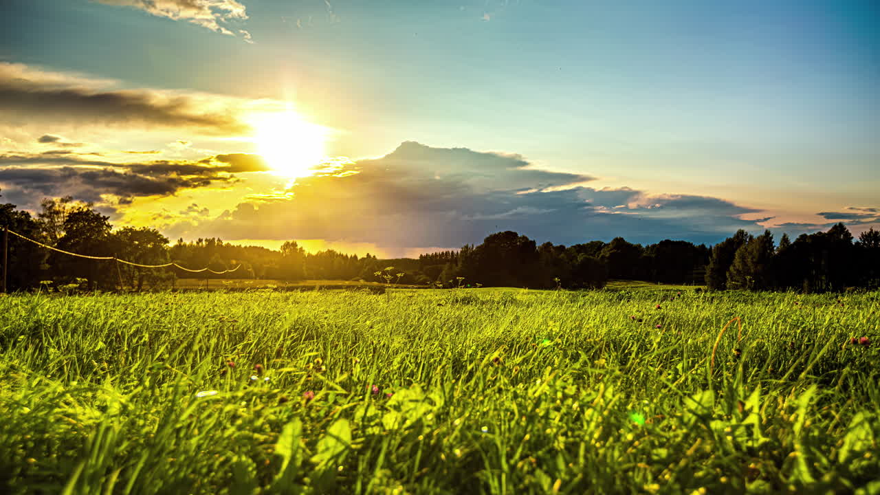 멀리서 보이는 높은 나무와 함께 푸른 풍경 위의 하늘에서 움직이는 구름의 타임  ⁇ 스 영상