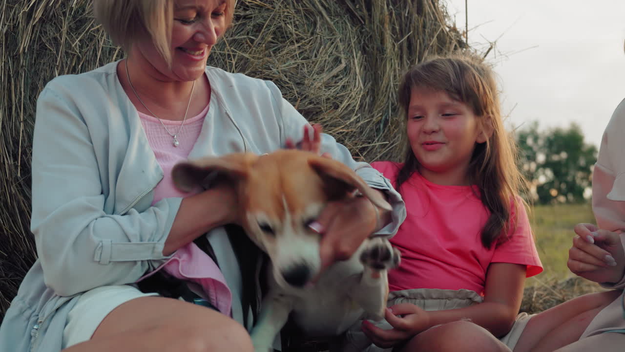 개 입을 부드럽게 고 있는 여자의 가까운 모습, 놀이로 싸우는 모습, 시골의 풀 근처에서 재미있게 지켜보는 아이들, 야외에서 반려동물과 상호 작용하는 가족