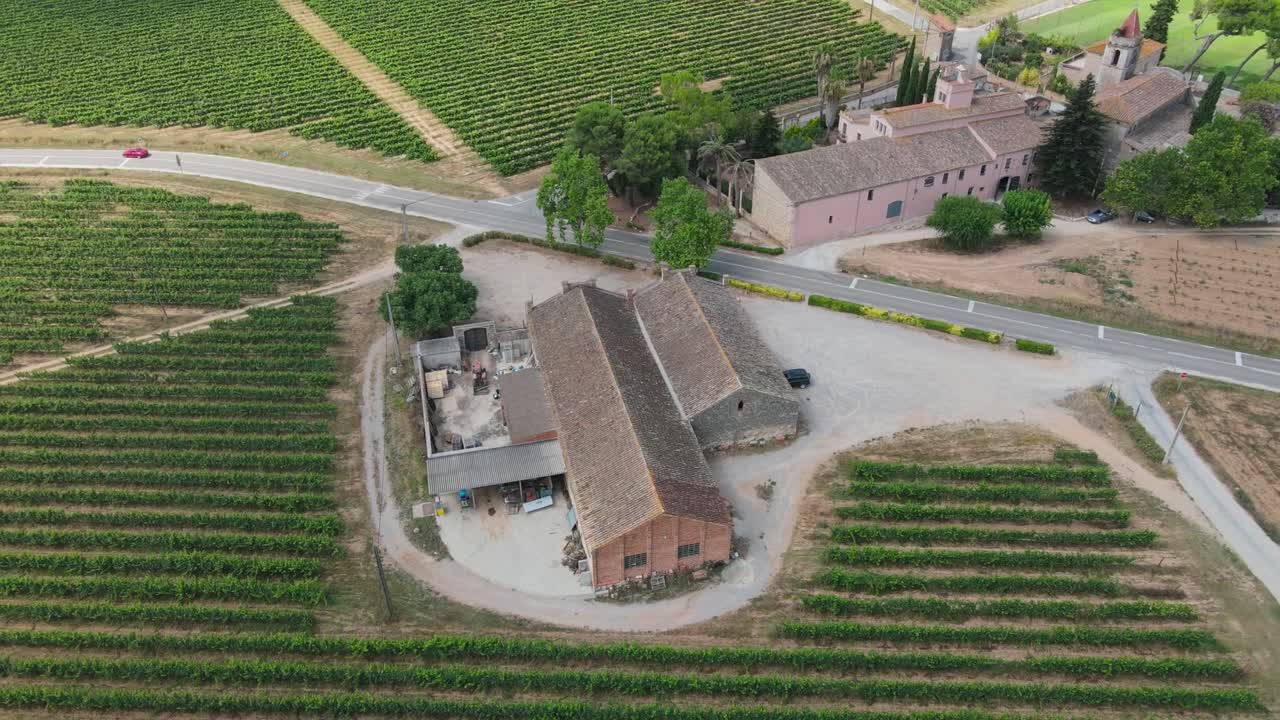 Cantina e vigneto del Penedès vicino a Barcellona, Spagna
