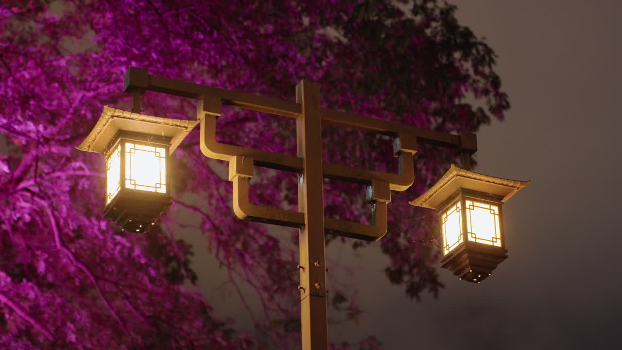 Cahaya lentera hangat di antara pohon ungu, tiang kayu berukir memancarkan cahaya kuning ke malam berkabut, dedaunan bertekstur bermandikan warna magenta, suasana festival yang tenang, sorotan bokeh halus, cocok untuk perjalanan.