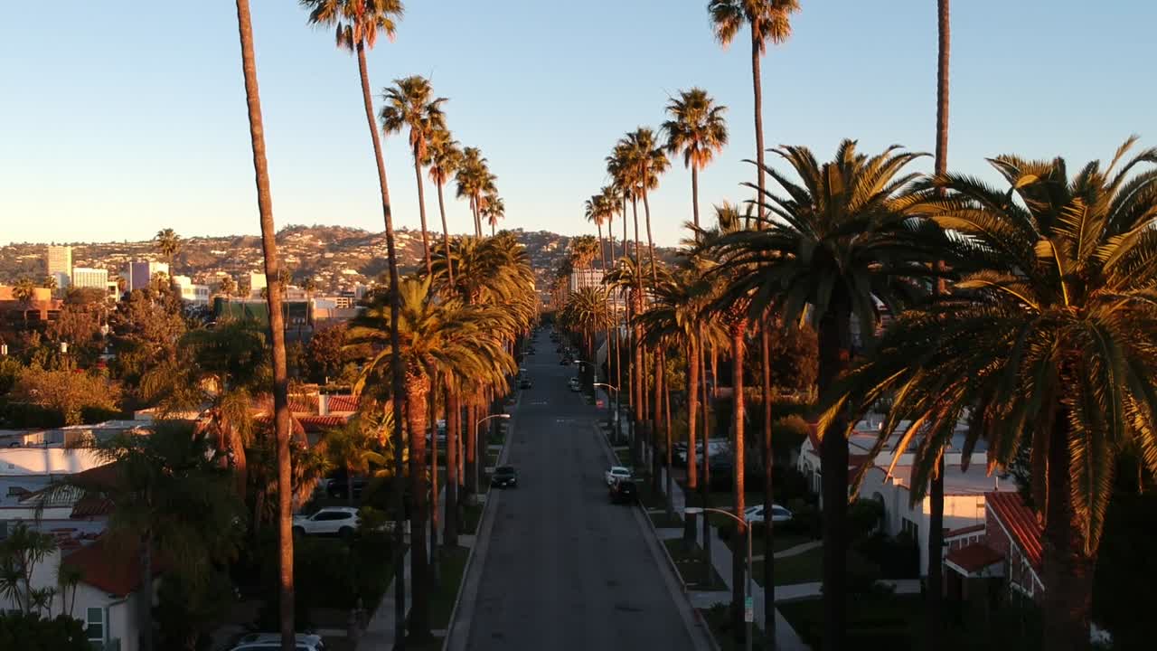 Fly through palm tree lined street in the morning in Beverly Hills
