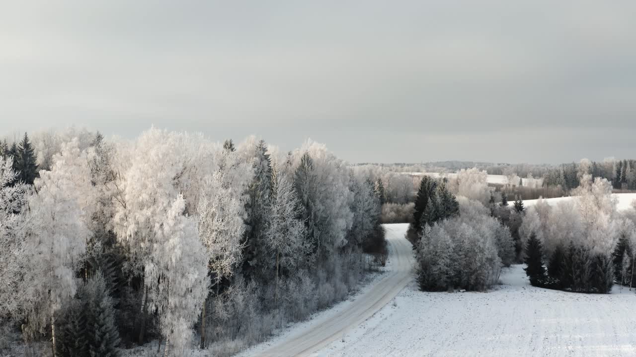 White frozen trees in winter. Artic hoar frost on trees after cold winter weather. Aerial drone shot of country road and snowy trees in winter wonderland scenery.