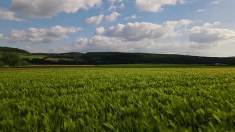 drone volando sobre el campo en alemania
