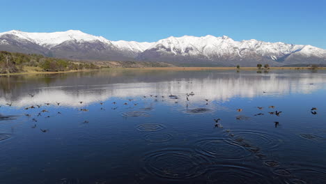 beautiful pristine mountain reflection by following birds scene, laguna terraplén lake, trevelin, argentina.