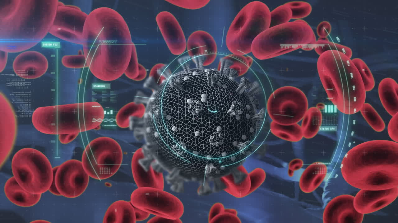 animación de células de covid-19 y glóbulos rojos flotando con escaneo de alcance