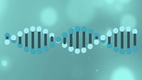 animation of dna strand and light spots on black background