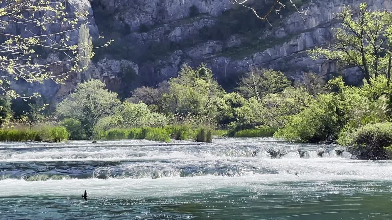 aguas de río azul verde y golondrina volando sobre la superficie en un día soleado