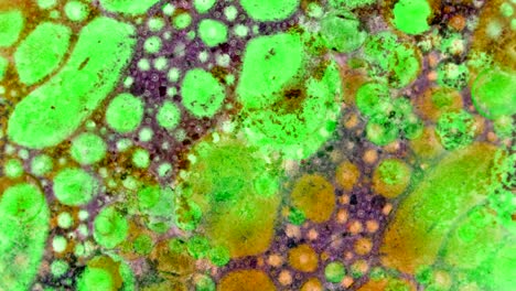 fabulous patterns