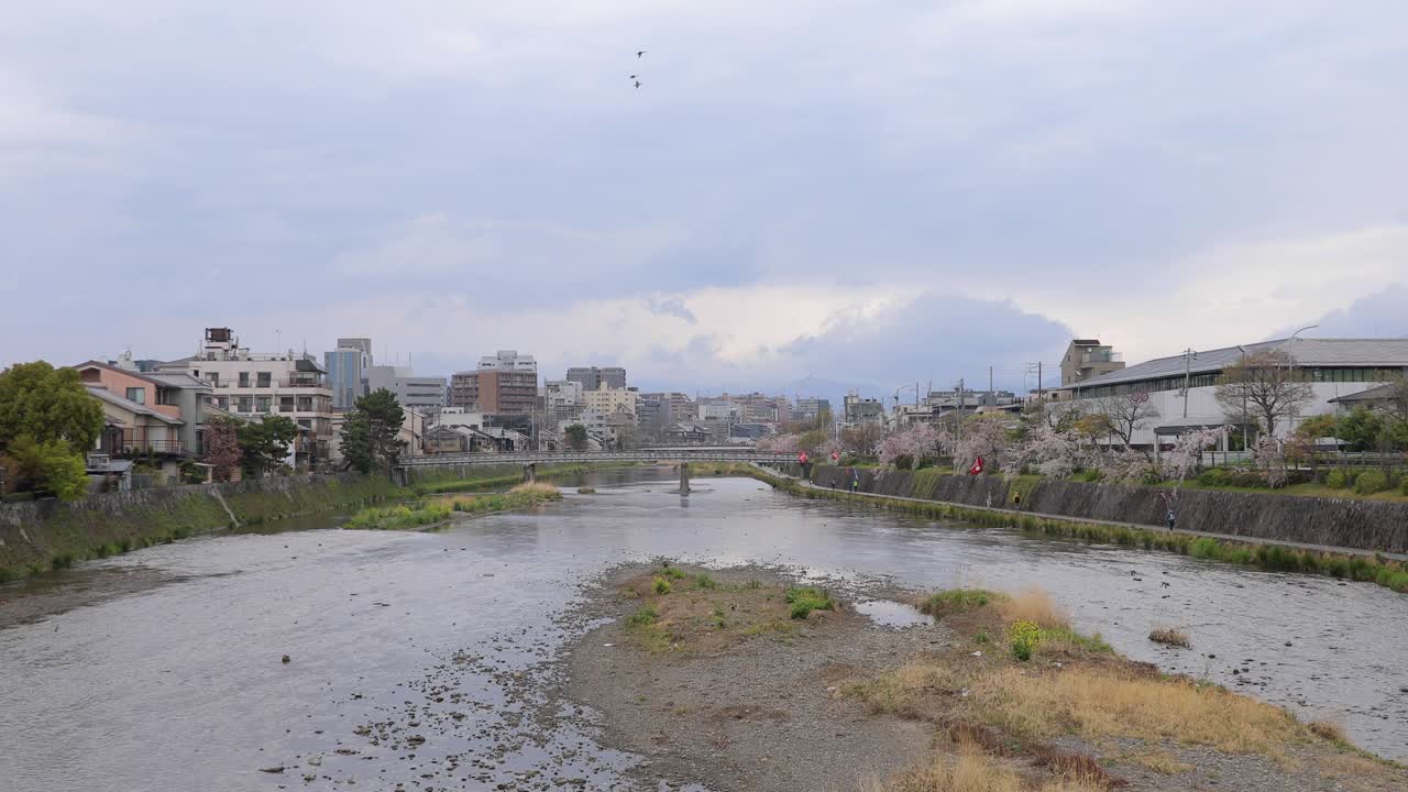 교토 최고의 명소
