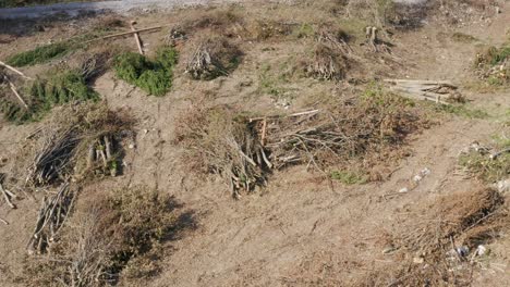 Trauriger-Zustand-Entwaldung-Nachwirkungen-Slowenien-Sentrupert-Wald