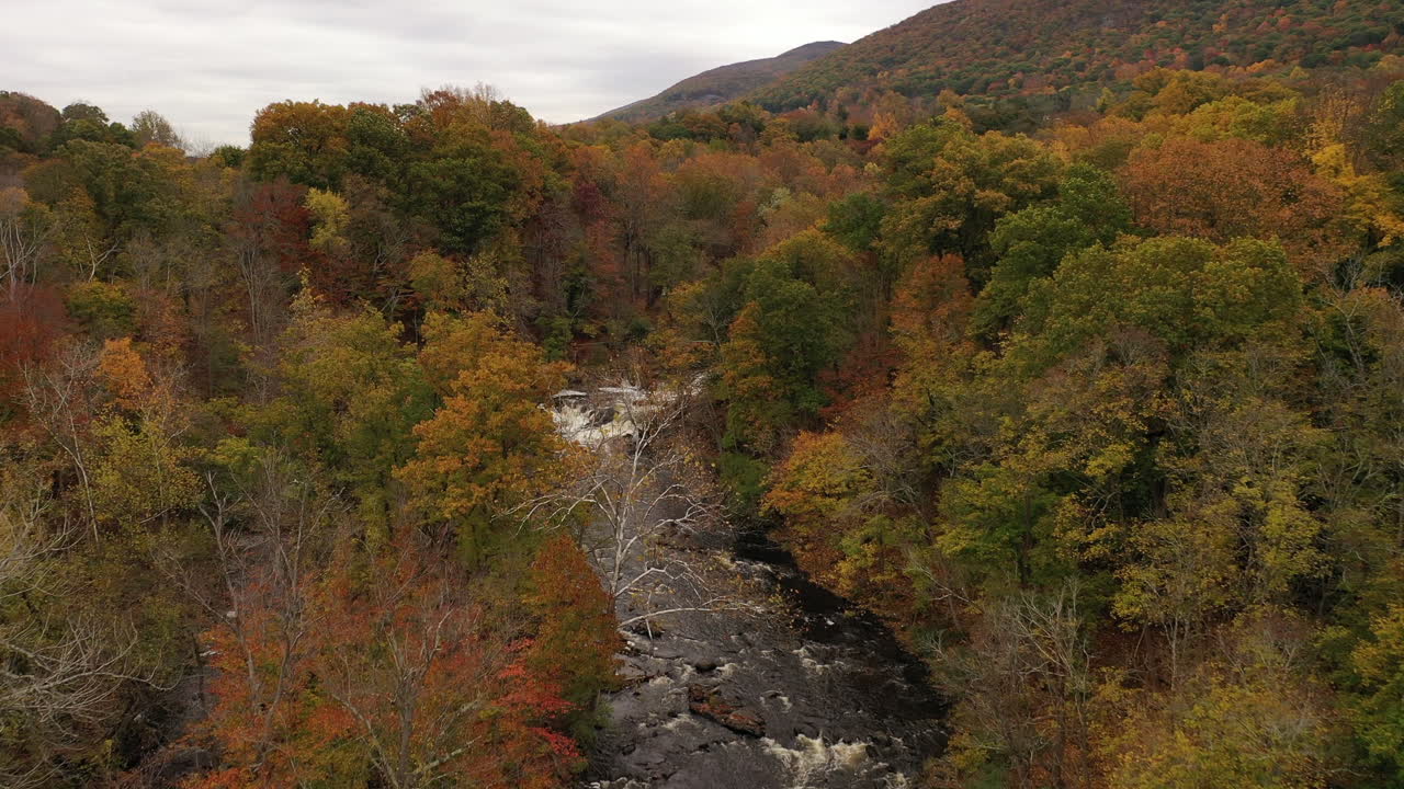 una toma aérea del colorido follaje de otoño en el norte del estado de nueva york