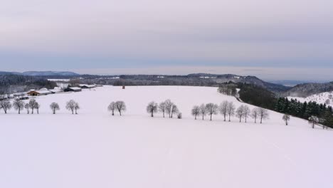 amplia escena de invierno - vuelo suave hacia adelante sobre un campo blanco como la nieve y una fila de árboles