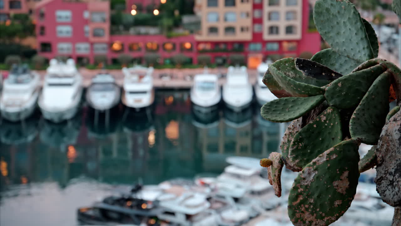 View of boats docked in the Port de Fontvieille with the skyline of Monaco on the background in the evening
