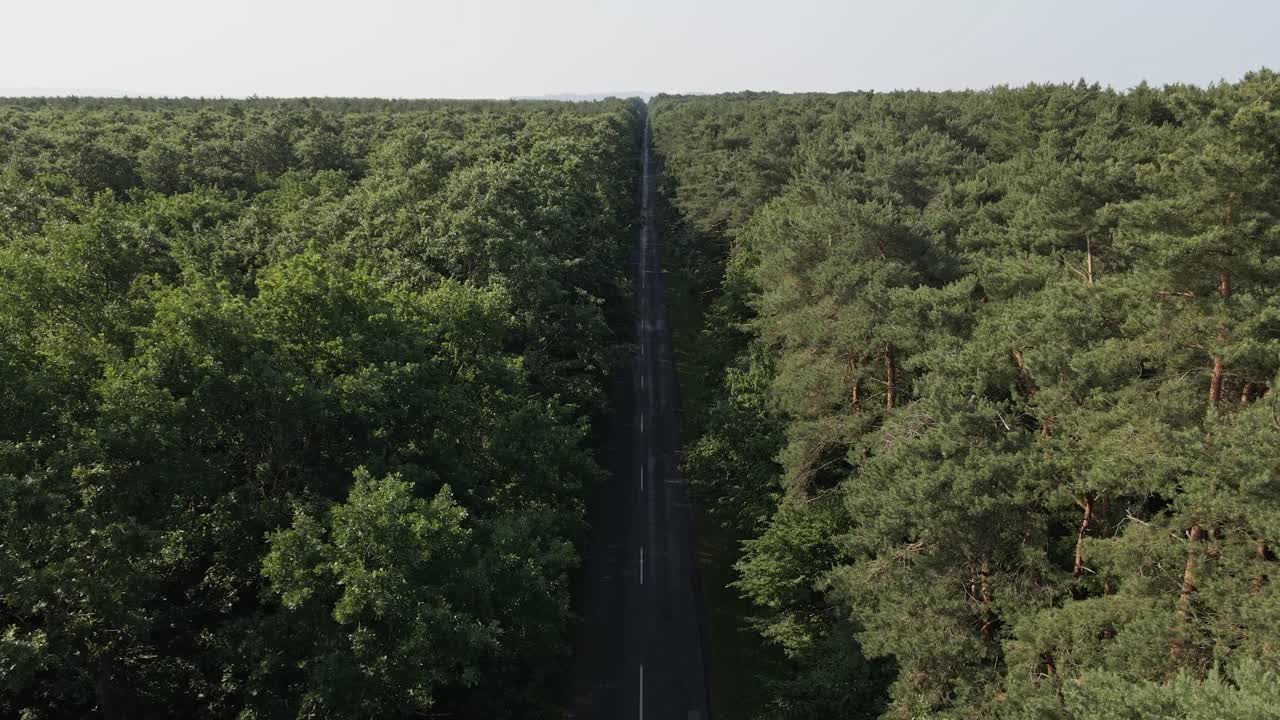 An aerial video captures a long, straight road slicing through a dense forest. The surrounding trees form a green corridor, creating a strong sense of symmetry, depth in the natural landscape.