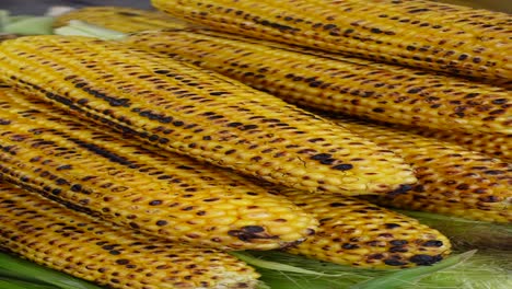 grilled corn on the cob