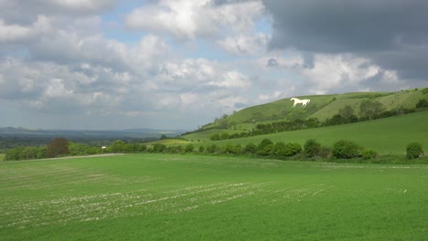 a giant white horse is a landmark with farm fields foreground in westbury england