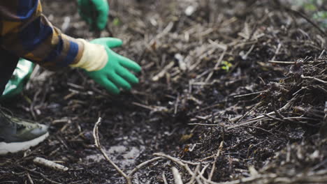 close up of gloves hands picking up organic waste from gardening