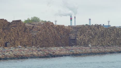 Großer-Haufen-Sägestämme-Am-Trockenfrachtterminal-Im-Hafen-Von-Liepaja-Bewölkter-Tag,-Weit-über-Den-Hafenkanal-Geschossen