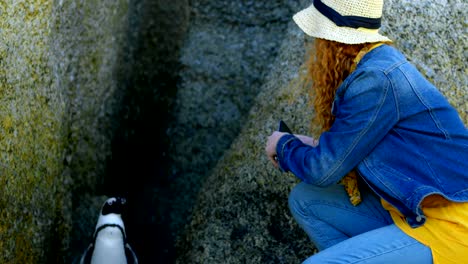 woman taking photos of penguin with mobile phone 4k