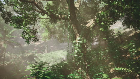 lush jungle scene with sunlight filtering through the trees