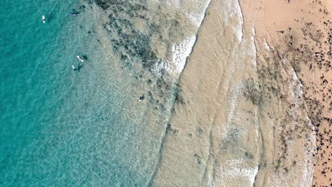 Surfers-Enjoying-The-Scenic-Beach-In-Noosa-Shire,-Queensland,-Australia---Aerial-Top-Down