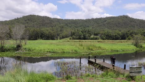 two people walking on a wooden bridge in wetlands