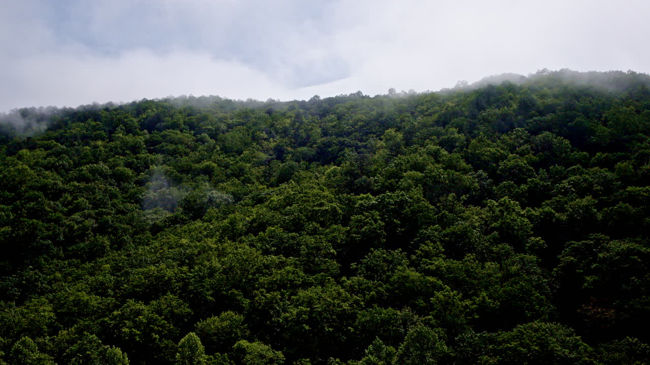 Smoky Mountains hidden under layers of mist, captured from above