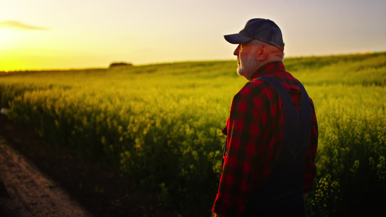 Ældre landmand står på en grøn mark ved solnedgang