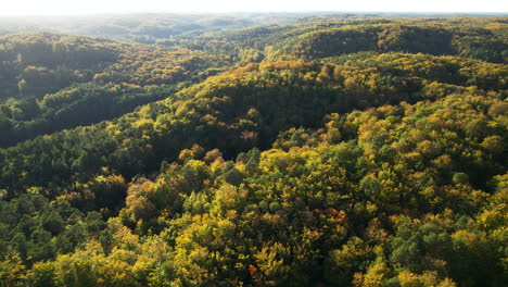 endless autumn forest in nature park near witomino, gydnia poland