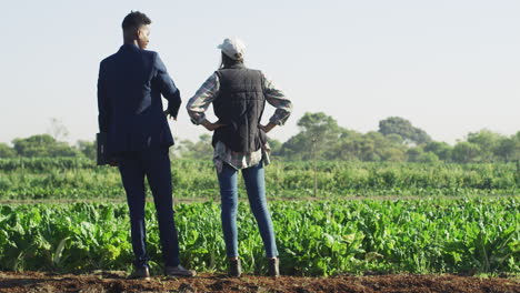 he has interests in investing in her farm