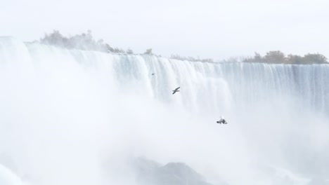 Pájaro-Volando-Frente-A-Las-Cataratas-Del-Niagra-En-Cámara-Lenta