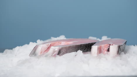 fishmonger's hand puts sliced salmon on top of ice - slow motion