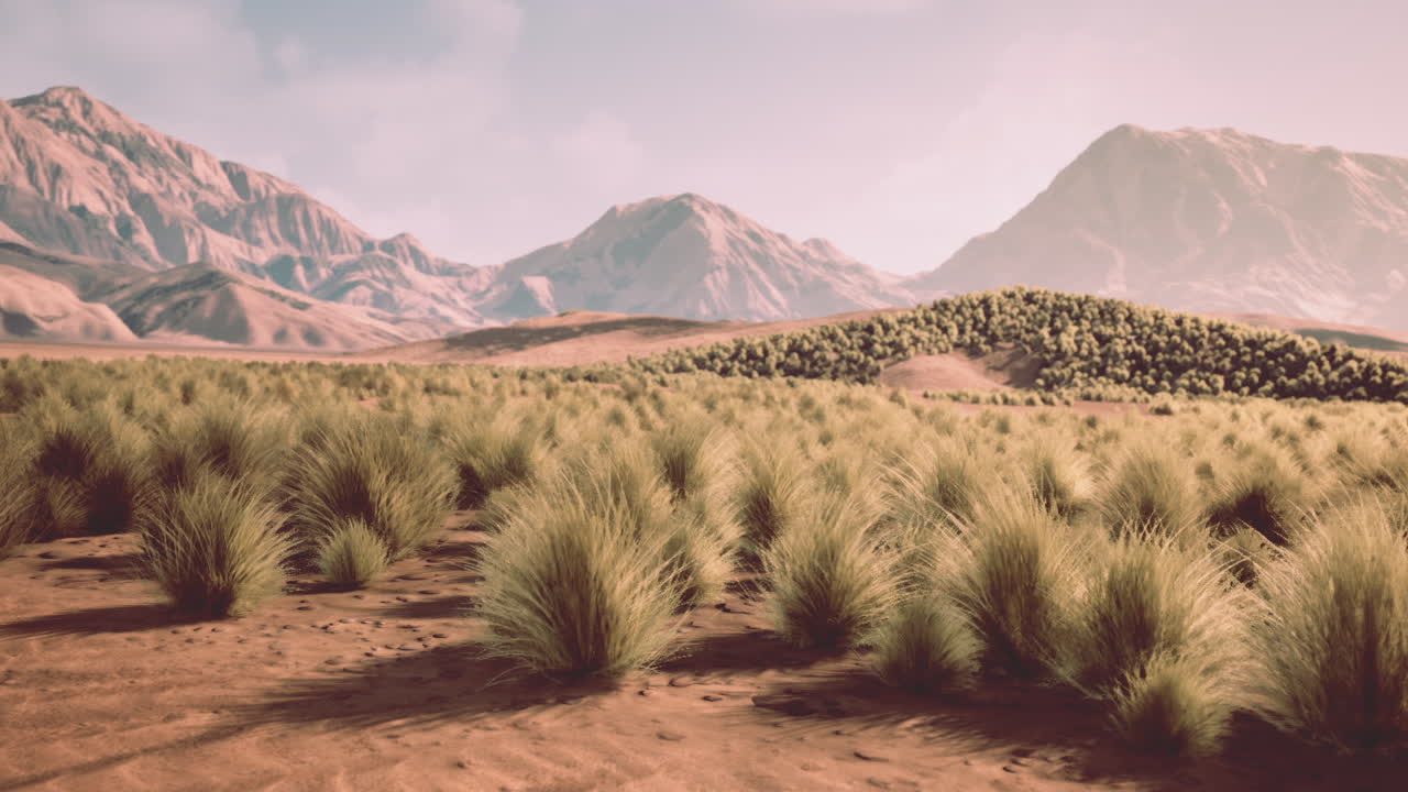 Paysage désertique avec des buissons bas entourés de montagnes majestueuses