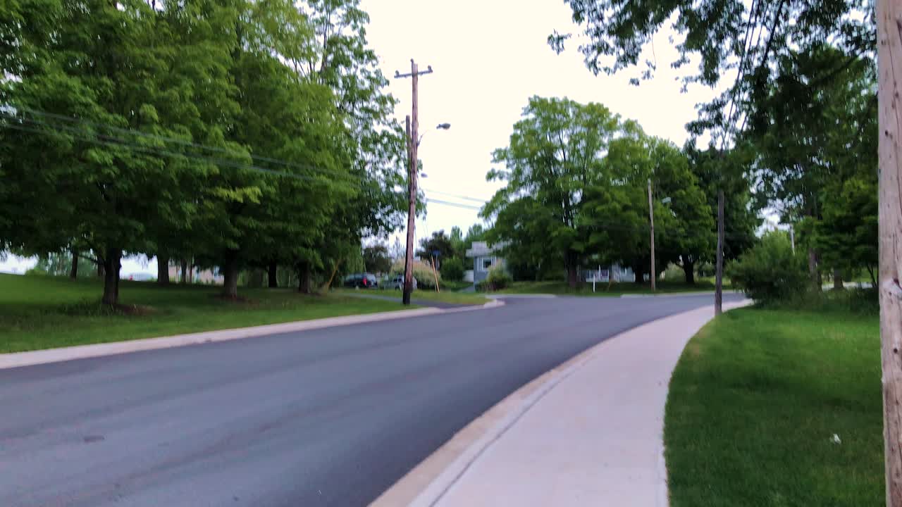 Border Collie dog in lower left of frame walking down a sidewalk