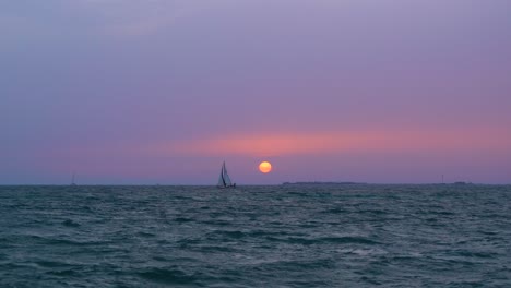 sail boats against a beautiful sunset in dubai at fazza beach