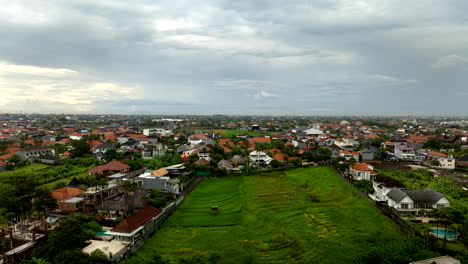 Campos-Cultivados-De-Arroz-Verde-En-La-Aldea-De-Canggu,-Bali-En-Indonesia