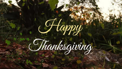 Animation-of-happy-thanksgiving-text-and-green-leaves-over-low-angle-view-of-tree-and-grass