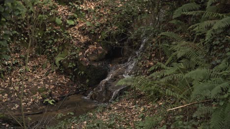 Slow-motion-stock-footage-of-calm-water-and-lakes-rippling