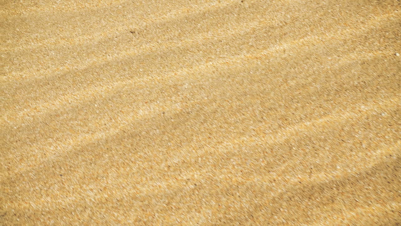 Dune sabbiose. Riprese in movimento.