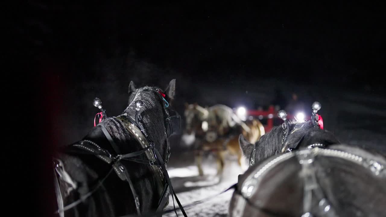 Carrozze con cavalli in una fredda notte d'inverno al rallentatore