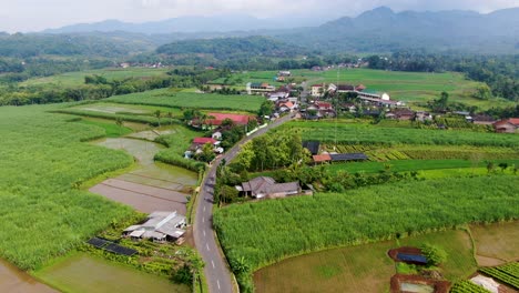 remote village, sugarcane fields, green gardens and rainforest on java, aerial