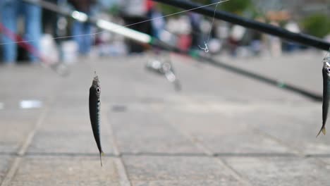 people fishing in the city, with a fishing rod and fish on a hook.