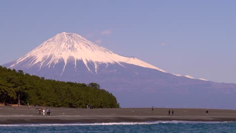 Visión-A-Largo-Plazo-De-La-Gente-Caminando-En-La-Playa-Con-Pinos-Y-El-Monte-Fuji-En-Japón