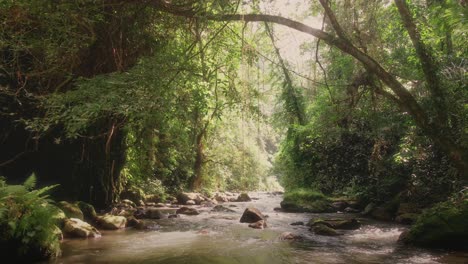 Flying-low-over-a-jungle-stream-in-remote-wilderness-of-sunny-Bali---Aerial-view