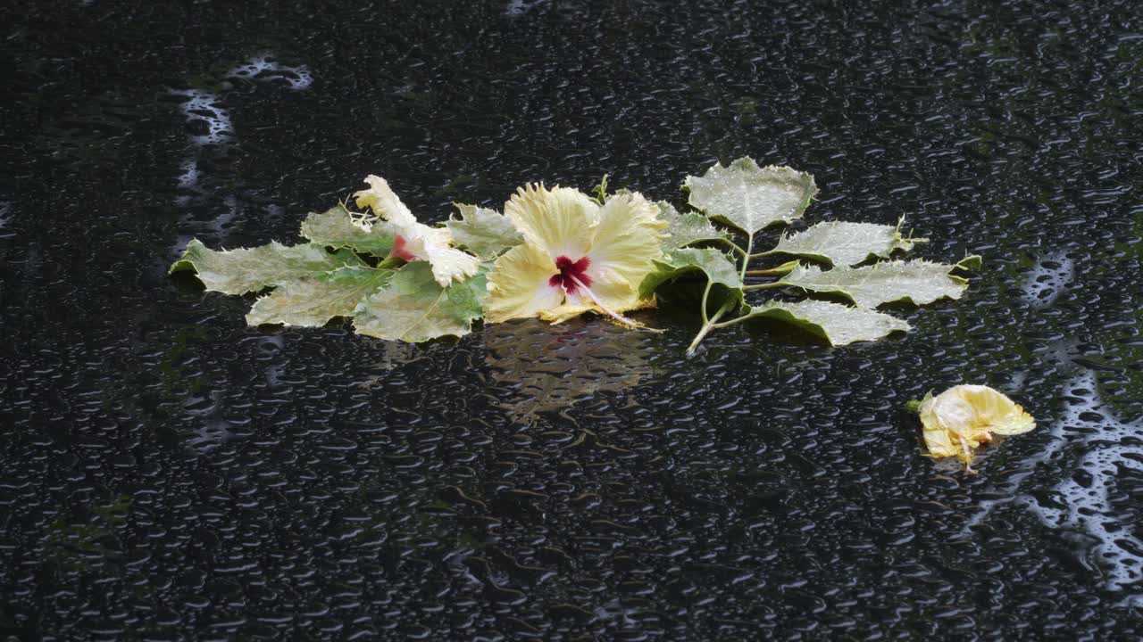 비에 젖은 꽃 장식이 있는 외부의 검은색 유리 테이블, 정적 샷