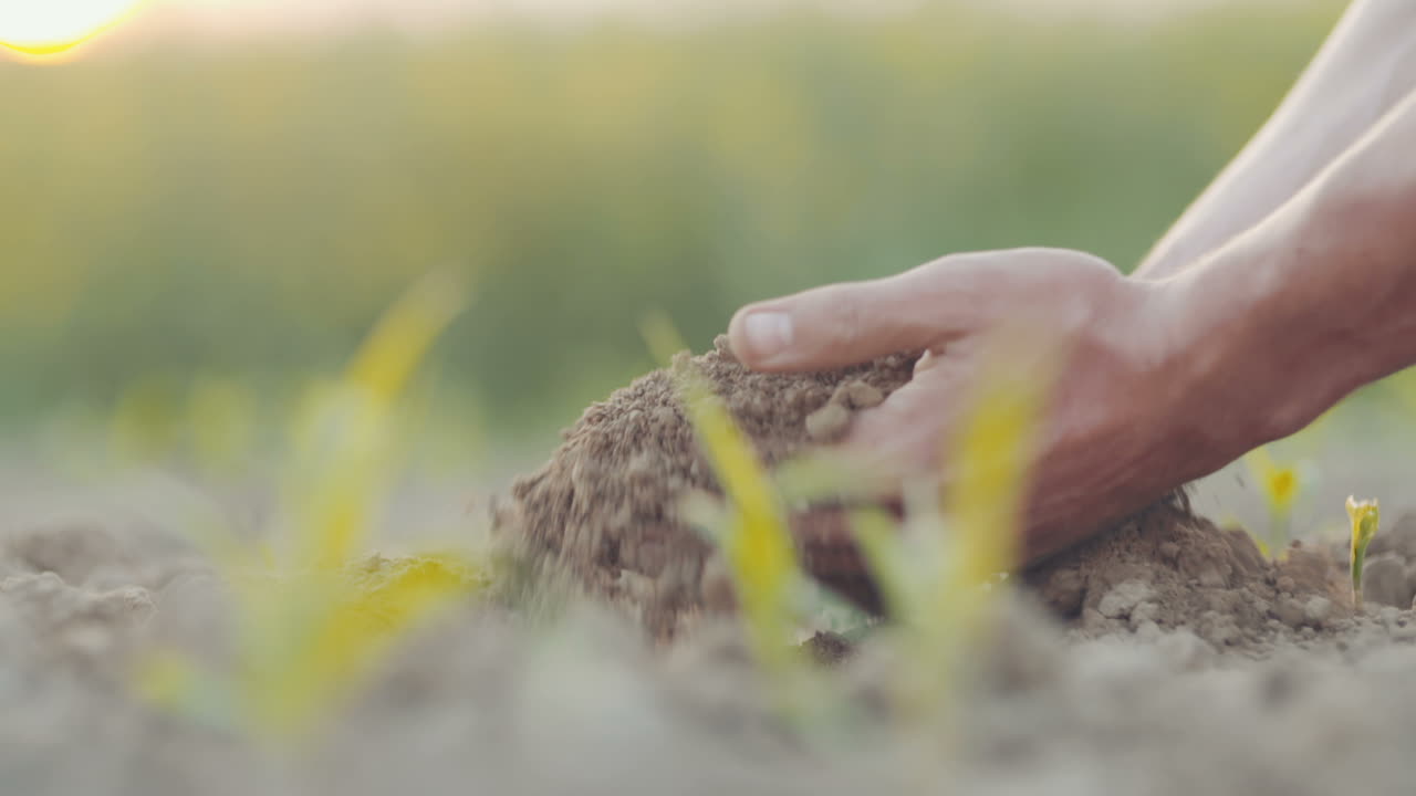 granjero vertiendo tierra orgánica 13