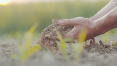 farmer pouring organic soil 13