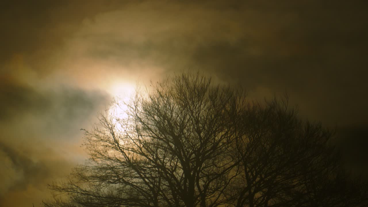 Sun Rising Behind Silhouetted Winter Tree with Dark Clouds Gathering Above. Dramatic Nature Clip Captured at Sunrise. Ideal for weather-related content, nature documentaries, or background visuals