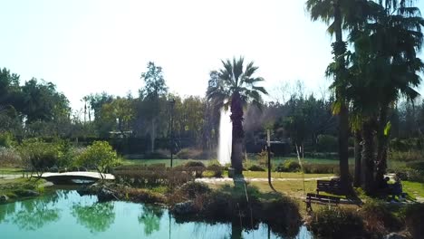 beatiful antalya city park palm trees pond